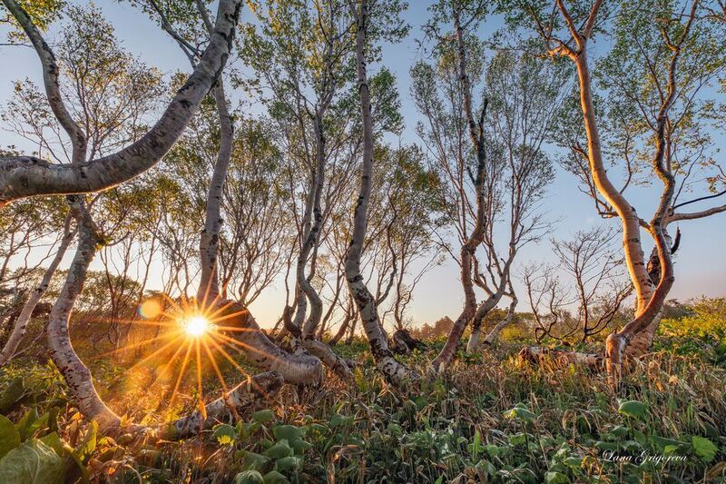 #фототур #пейзаж #россия #путешествия #photogeographic #курилы #кунашир ***photo preview