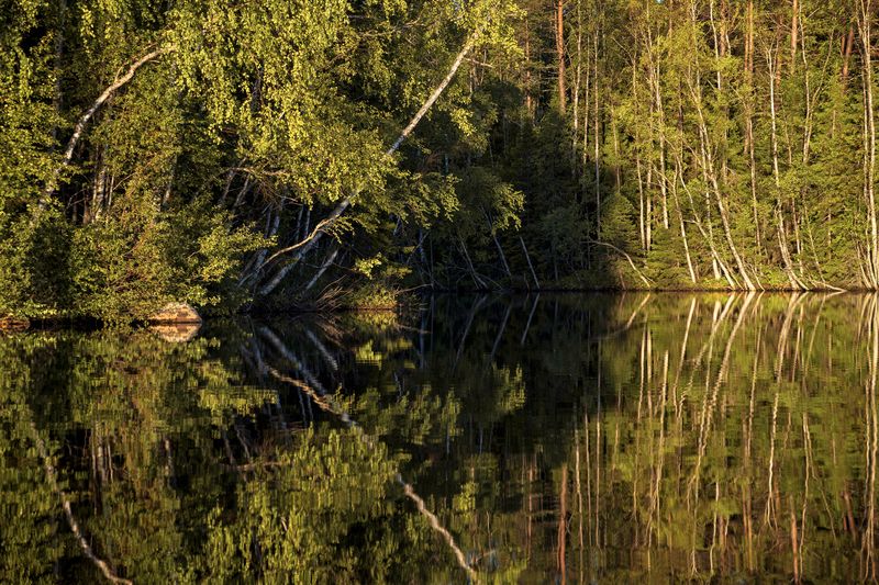 соловки, соловецкие острова, канал Симметрия 2photo preview