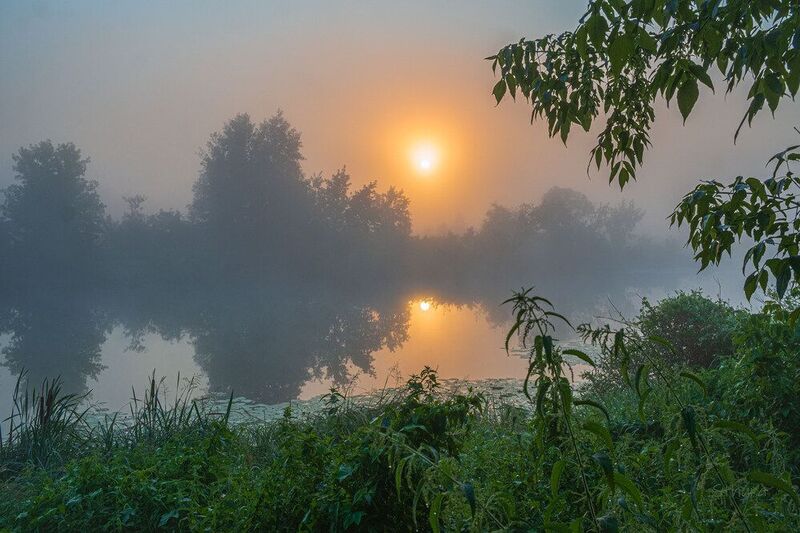 лето озеро рассвет туман природа пейзаж Летнее утро.photo preview