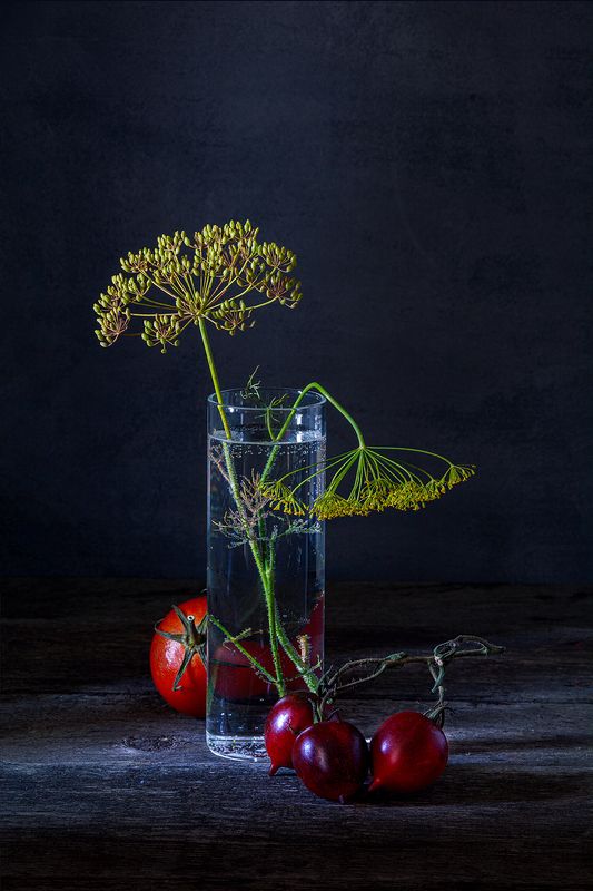 помидора, банка, укроп, вода photo preview