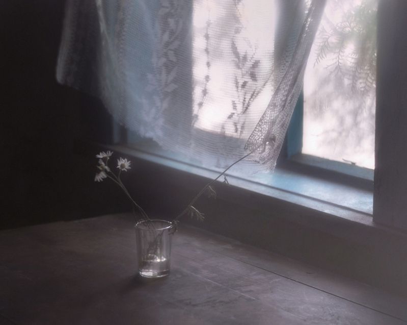 натюрморт, лето, окно, настроение, still life, window Момент прощания photo preview