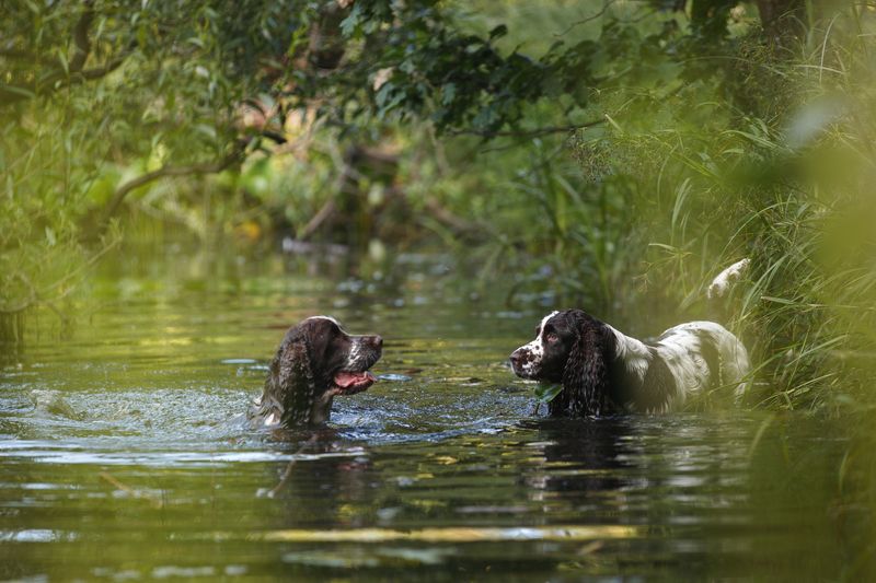 кайса и тори photo preview