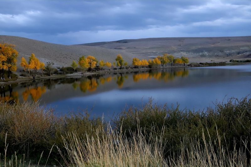 Времена года, лето высокогорья на излёте фото превью