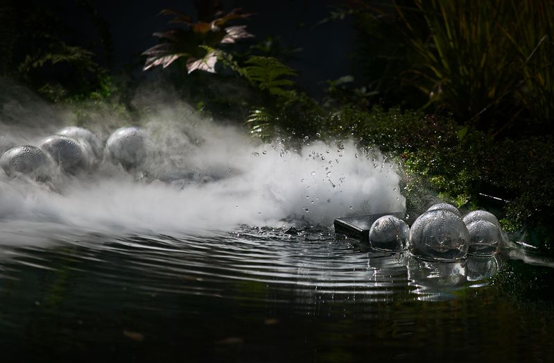 фестиваль, исторических, садов, в, царицыно, 2025 Фестиваль исторических садовphoto preview