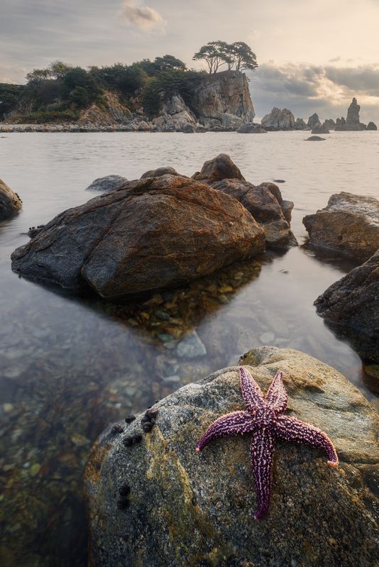 Приморье, Приморский край, Орлинка Бухта Орлинка. Приморье.photo preview