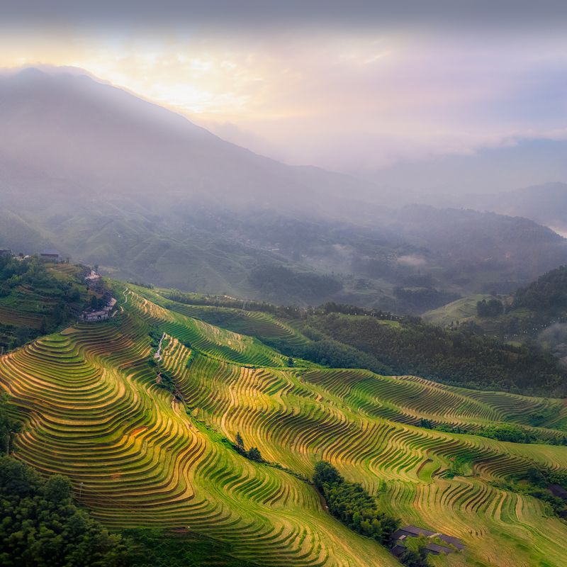 Longji Rice Terraces. Guilin. Chinaphoto preview