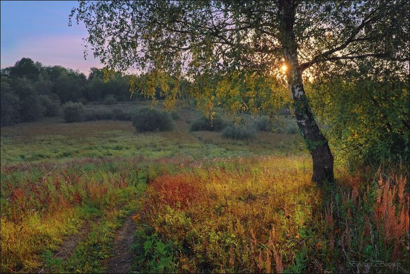 По пути с солнцемphoto preview