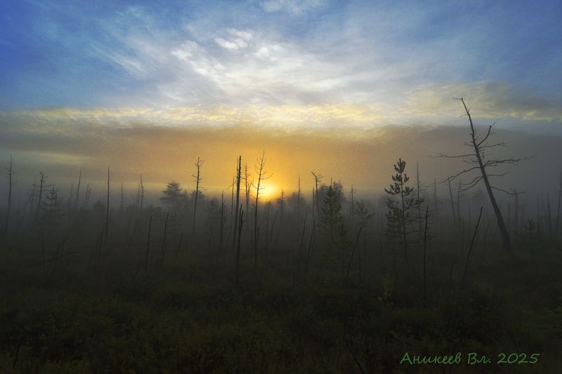 Рассвет на болоте фото превью