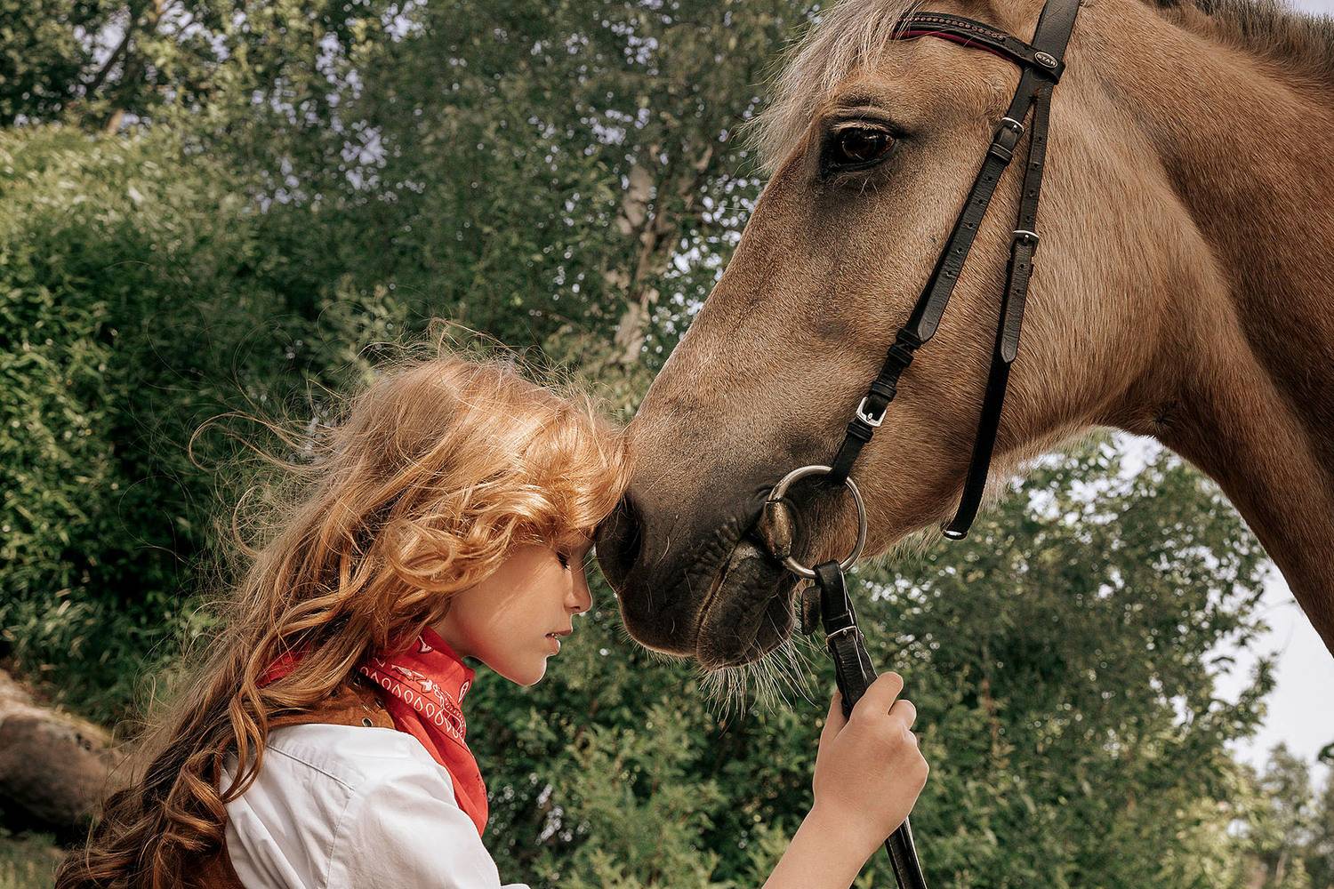 Автор: Стеценко Александр , Стеценко Александр
