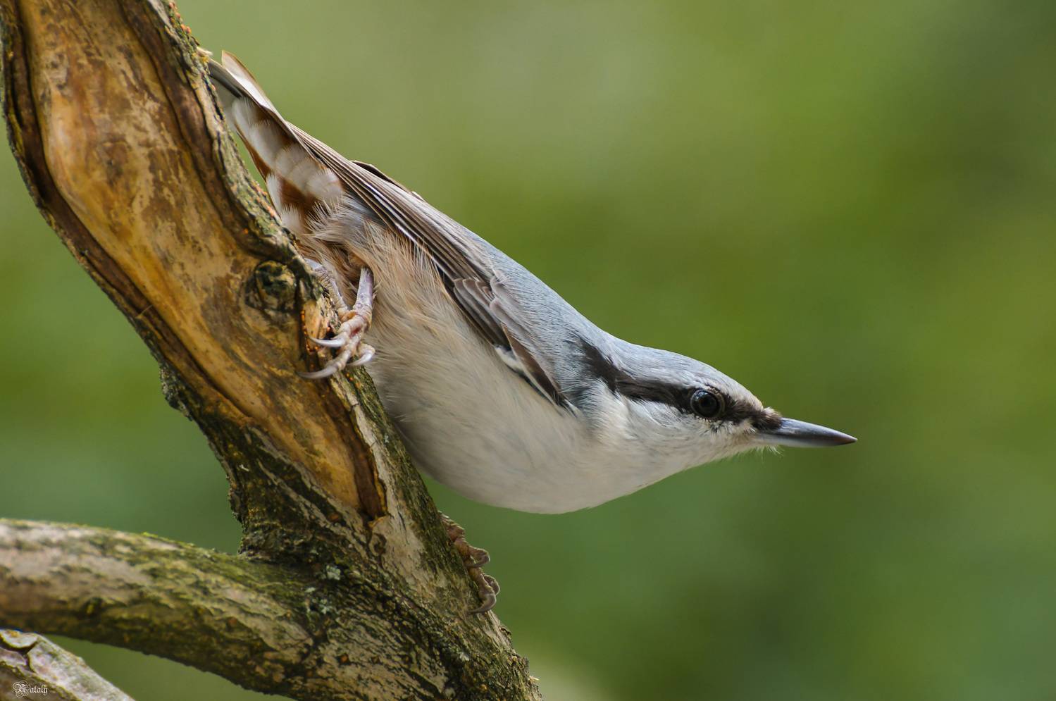 , Наталья Екимова