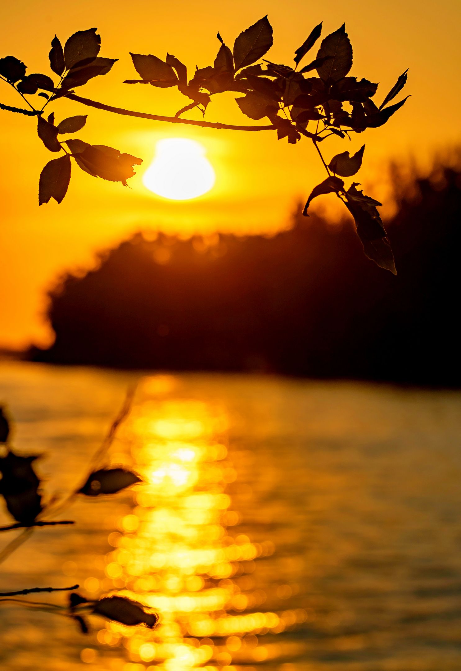 Дорогу солнцу...photo preview