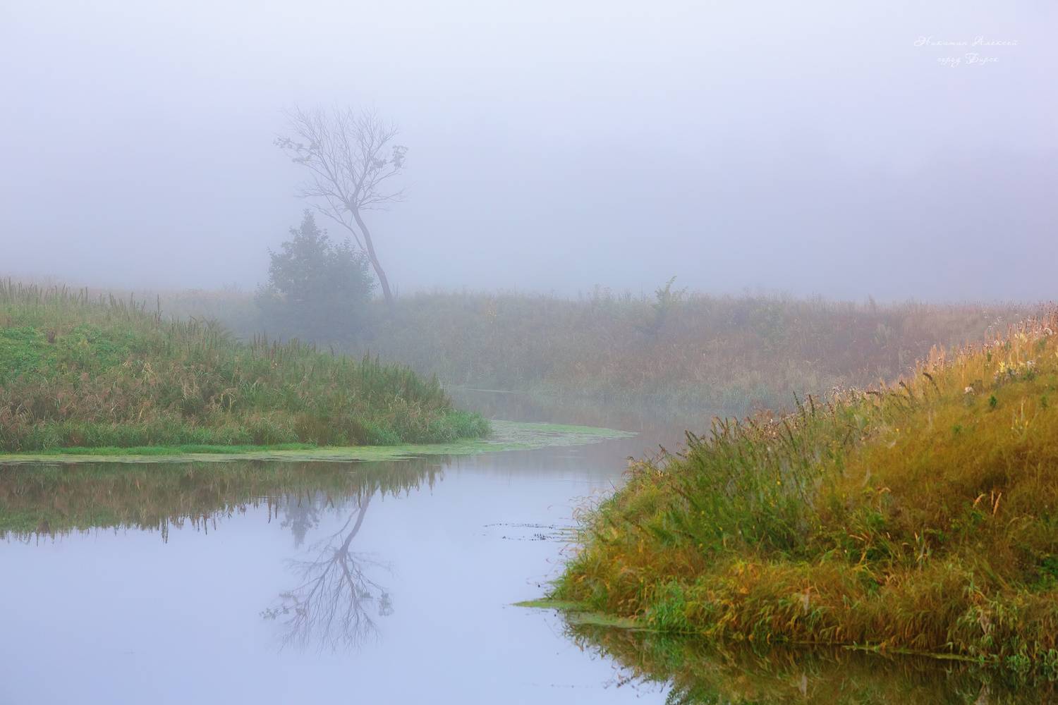 , Никитин Алексей