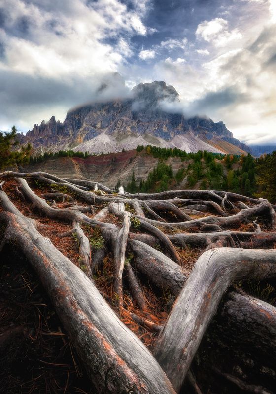 Dolomity Unrestrained rootsphoto preview