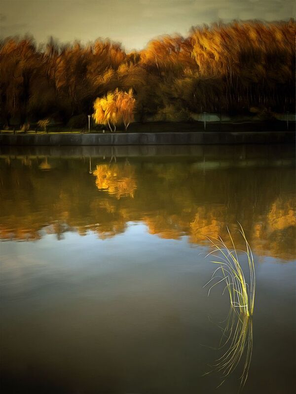 Золото осени фото превью