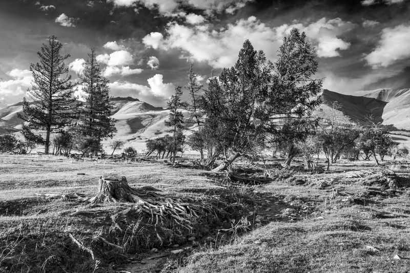 Варварство фото превью