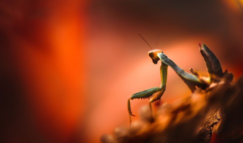 Лето красноеphoto preview