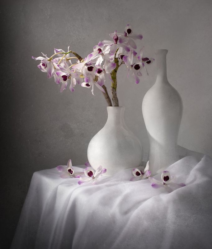 Still life, flowers, orchid, lilac, white Lilacphoto preview