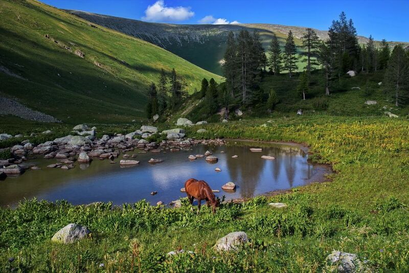 алтай горы В горах Алтаяphoto preview