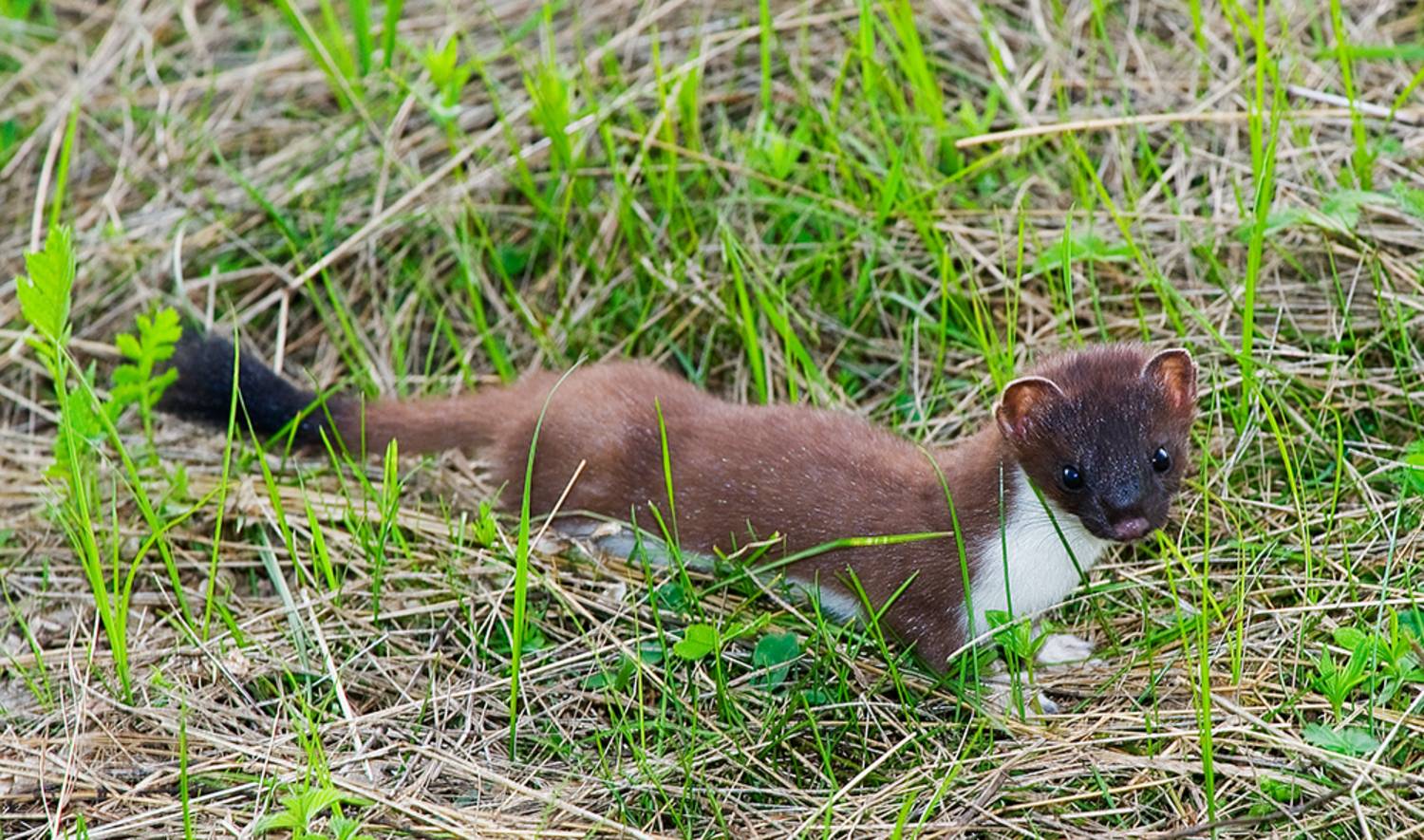 , Андрей Алексеев