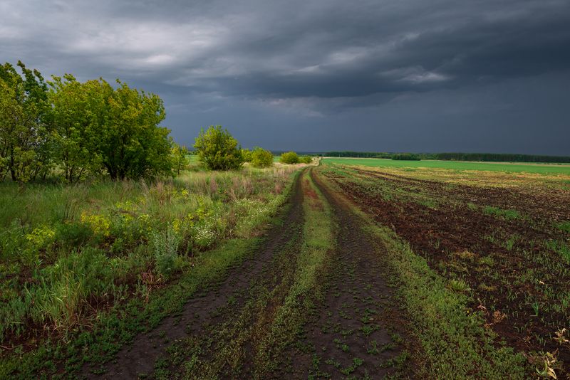 Зауралье, после дождя фото превью