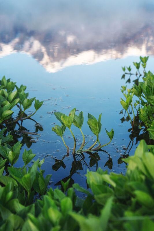 Джангысколь…  Djangyskol…photo preview