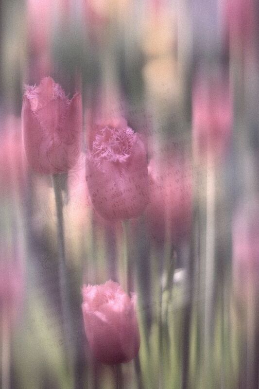 Ностальгияphoto preview