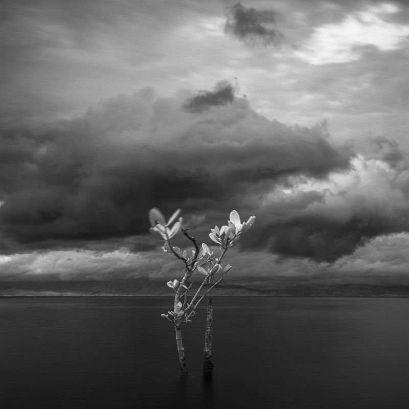 Asep Yusuf Tazul Arifinphoto preview