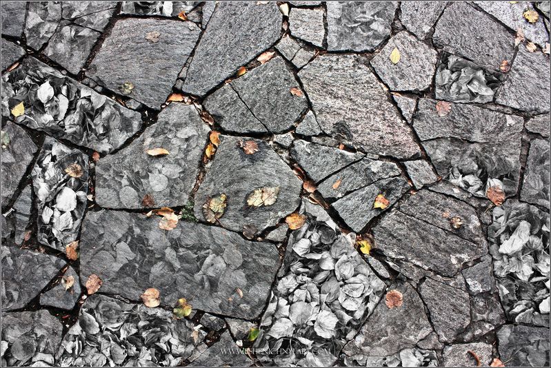 осень, абстракция, осенняя листва, октябрь, литография,палитра, оттиск, минимализм Осенняя литографияphoto preview