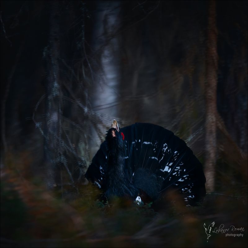 На току в темноте ...  фото превью