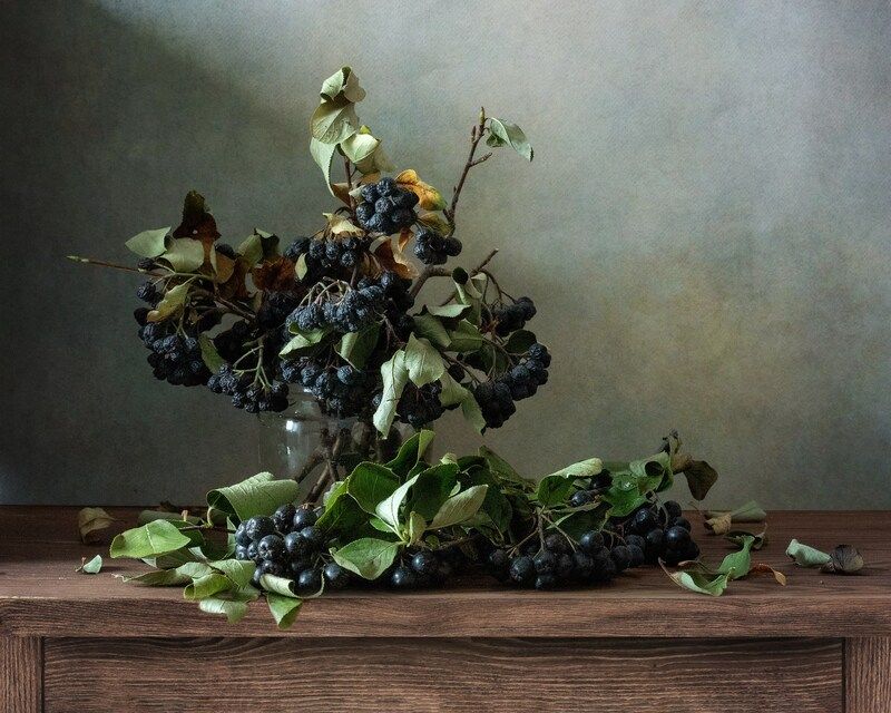 натюрморт, букет, рябина Увяданиеphoto preview