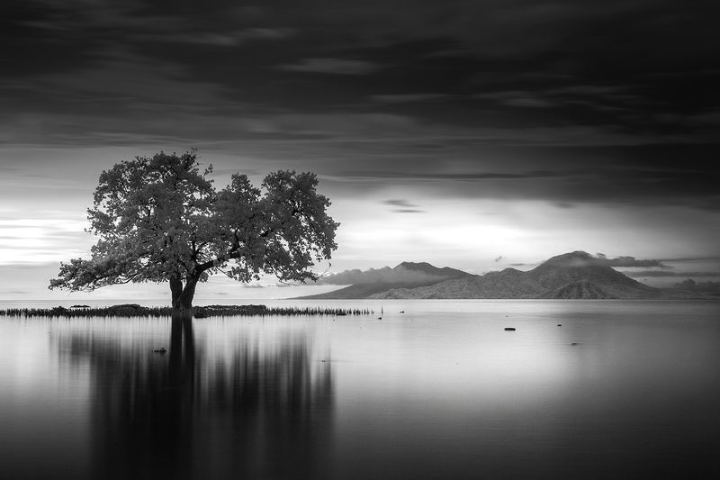 infrared, longexposure, blackandwhite whispers of stillnessphoto preview