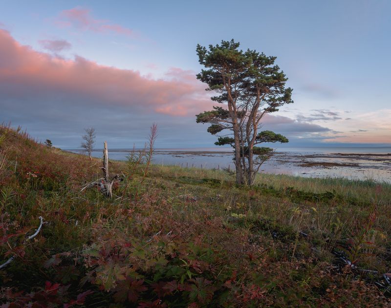 На Белом мореphoto preview