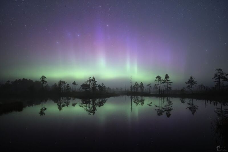 сияние над болотом. карельский перешеек photo preview