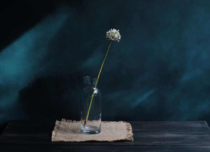 натюрморт, стекло, акварель, минимализм, цветы, minimalism, still life Тени, силуэты. Оттенки цвета..photo preview