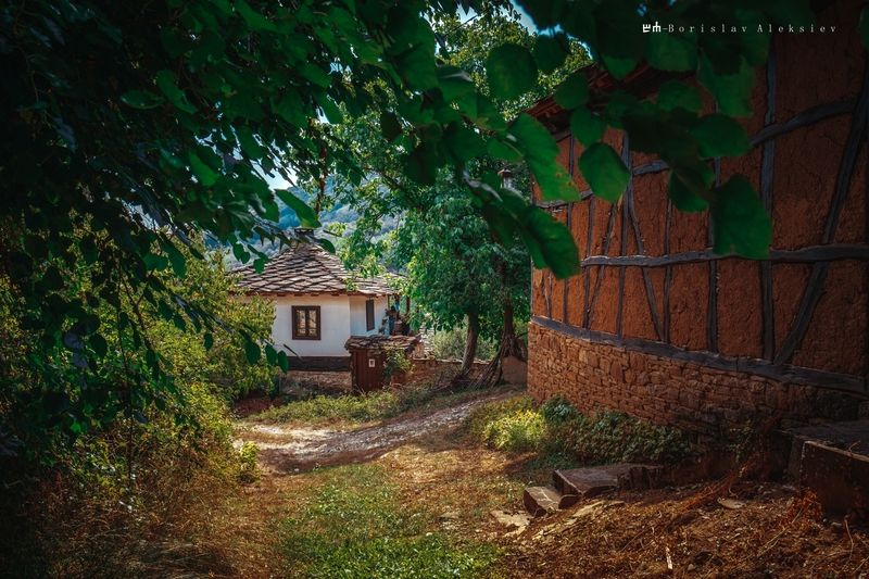 българия,старо стефаново,travel,old,house,tree,road,green,summer Старо Стфановоphoto preview