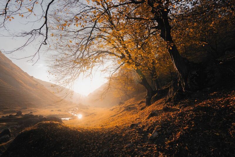 осень, рассвет, утро, горы, туман, свет, деревья, природа, золотая осень, пейзаж, атмосферно, красота природы, утренний свет, тишина Осенний рассвет в горахphoto preview