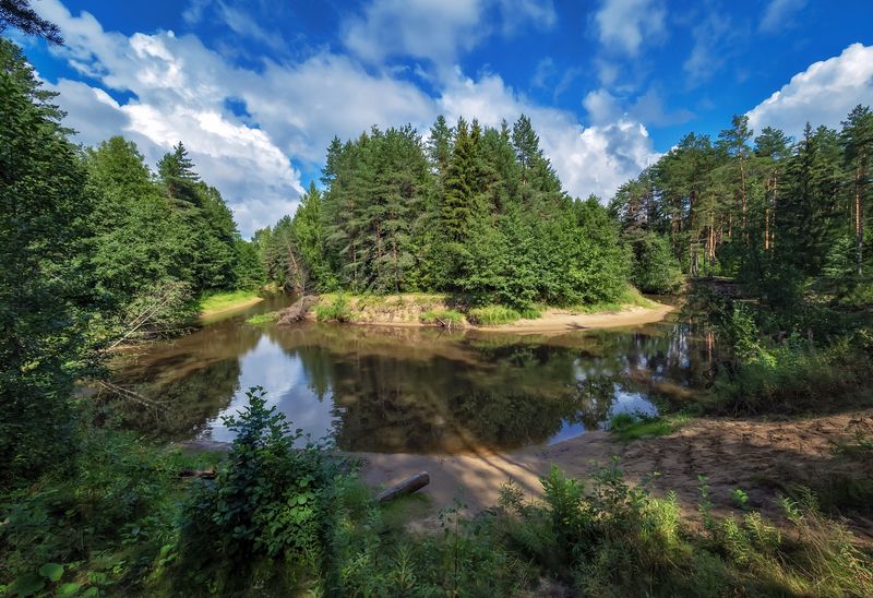 Излучина реки Петух. Череповецкая обл.photo preview