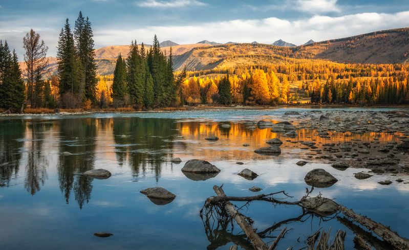 горный алтай,осень, река аргут, утро, коряги,отражения Осеннее маловодье...photo preview