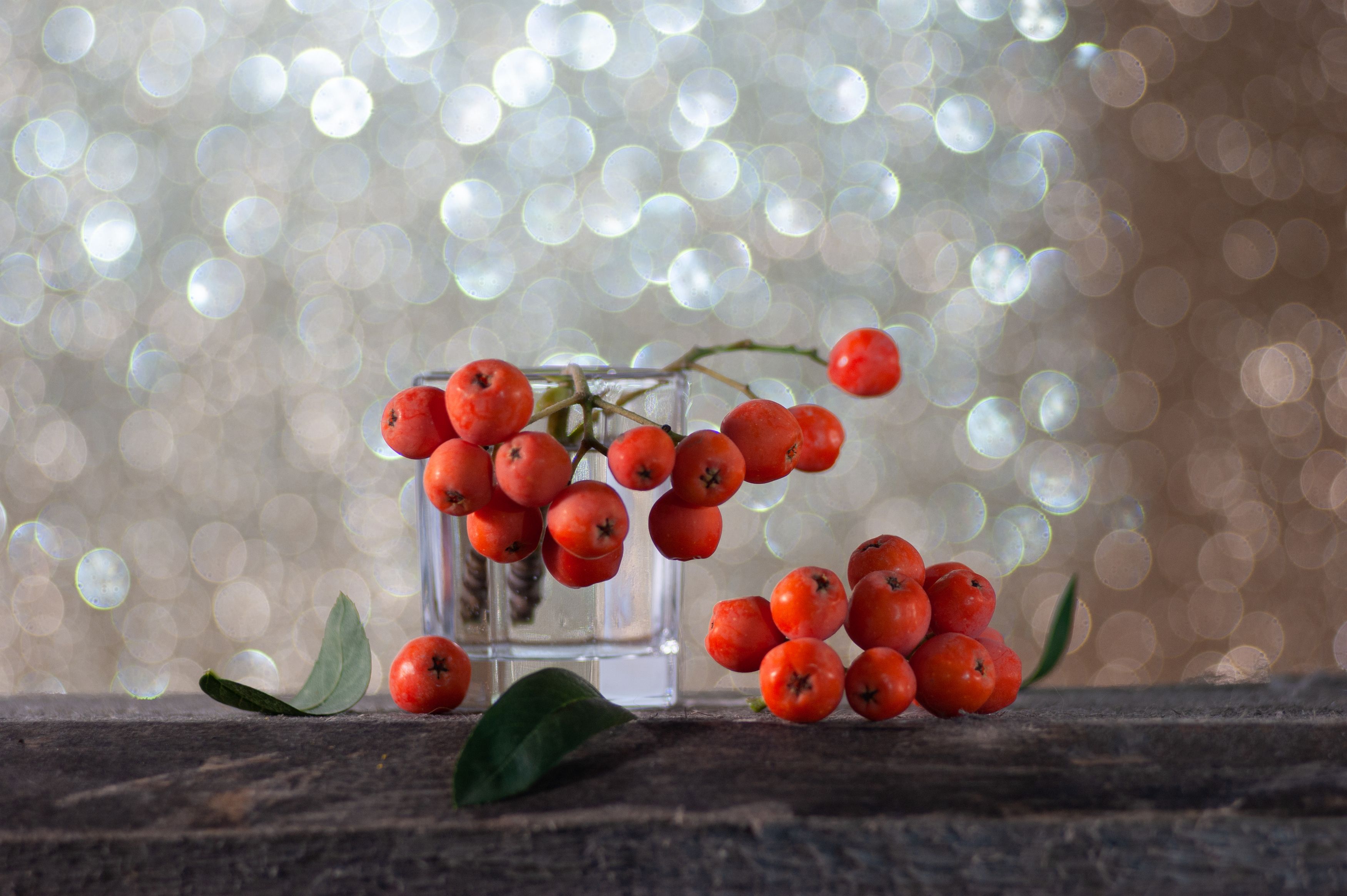 Рябиновыйphoto preview