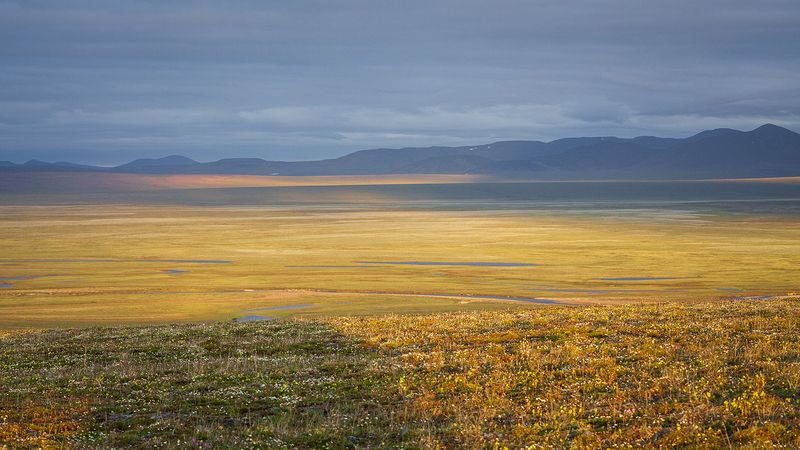 чукотка, лето, пейзаж, природа, сопки, север, Краски лета.photo preview