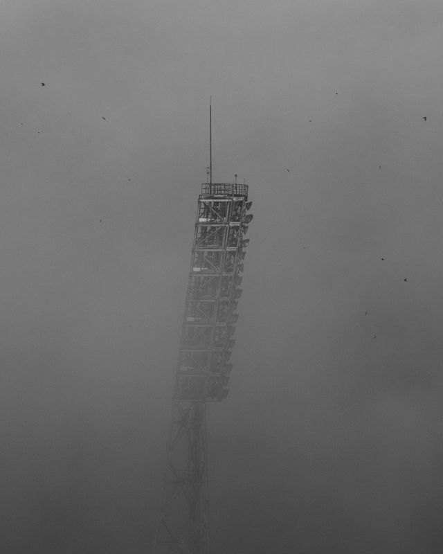 The fogphoto preview