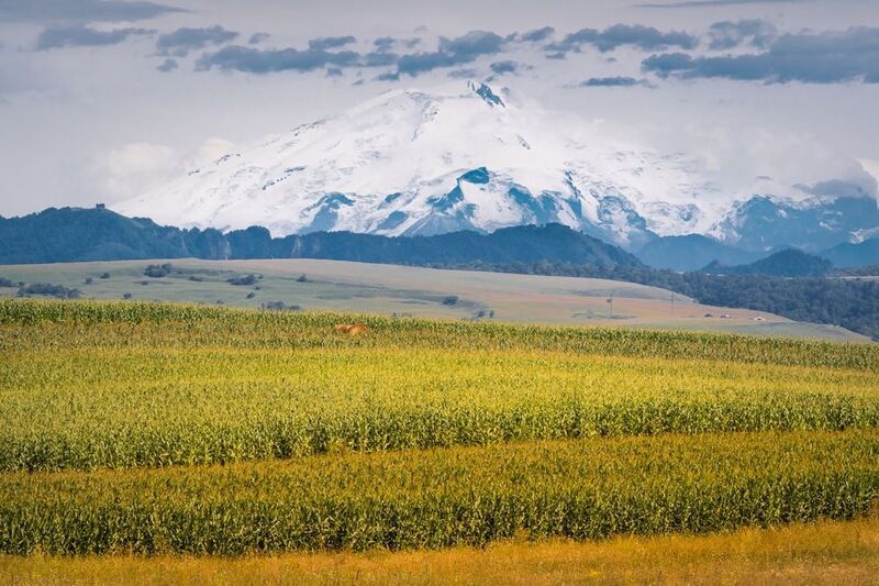 эльбрус, военно-сухумская дорога, кавказ Август с видом на Эльбрусphoto preview