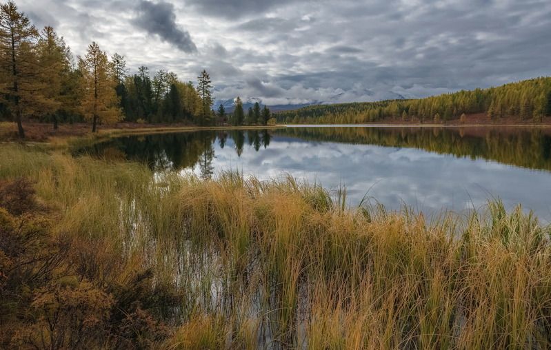алтай, осень, киделю, берег, травы, тишина Такое разное Киделюphoto preview