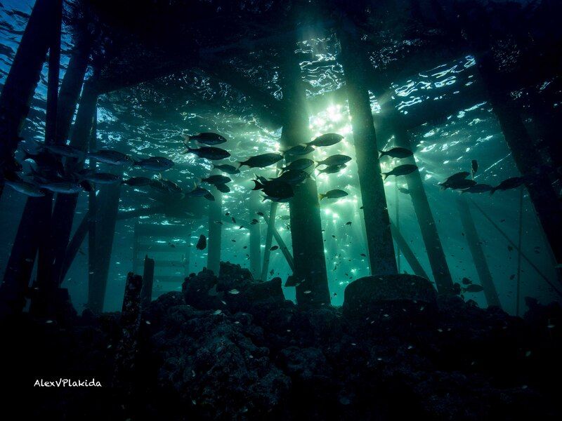 An hour before the sunsetphoto preview