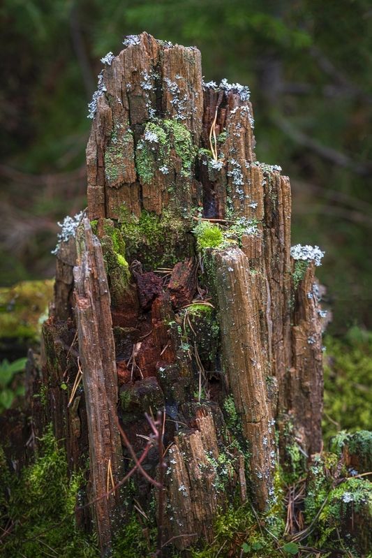 Жизнь не кончаетсяphoto preview