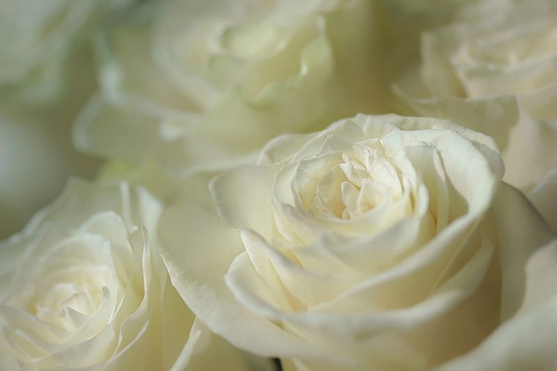 Холодный рассветphoto preview