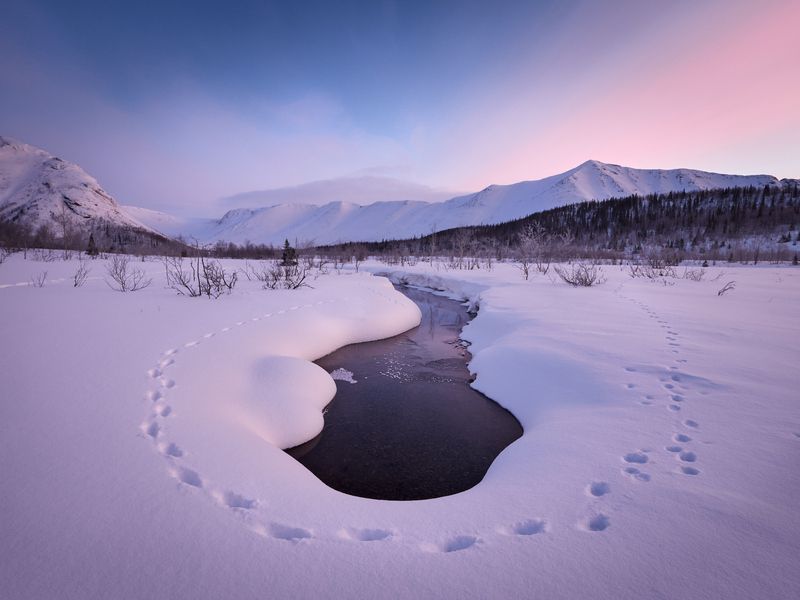 Хибины, рассвет Тут кто-то проходилphoto preview