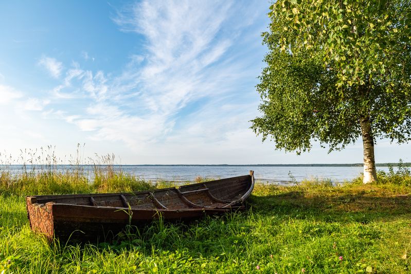 Васнецов фото превью