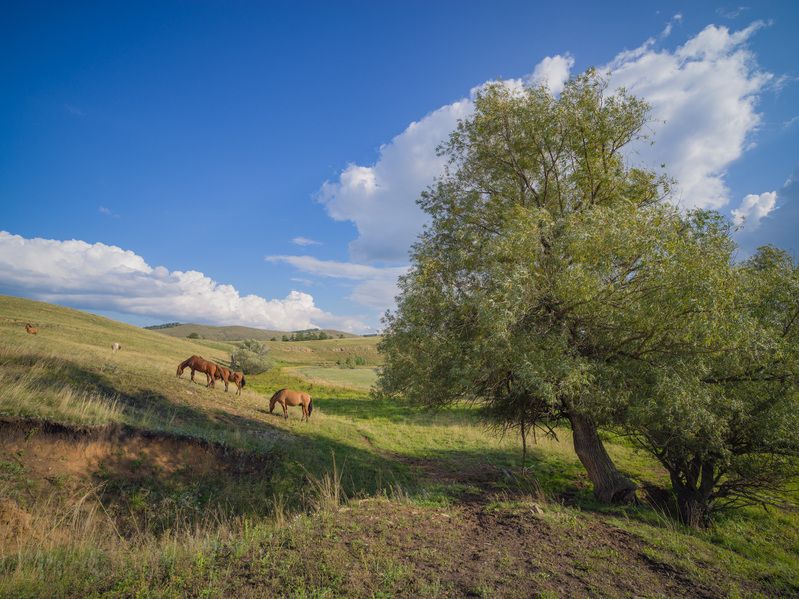 В пойме рекиphoto preview