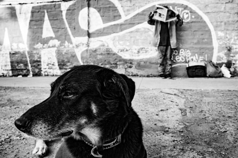 streetphotography, street, fotografía callejera, bastian cifuentes araya, periodista furioso, streetphoto, street photo, street photography, dog, doglover SIN TÍTULOphoto preview